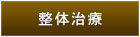 整体治療