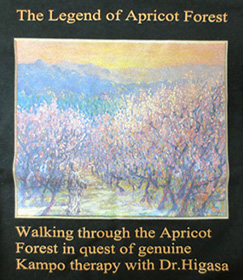 「日笠医師とともに本当の漢方治療を求めて杏の林の中を散策している」