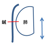 鍼は体に刺さって固定されているが、肺は呼吸で動くから肺が裂けてしまう。