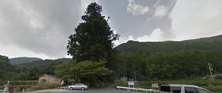 神社に通じる参道は高い木の間にある。後ろの山がご神体。 何やら空が高いような澄んだ気を感じることができるだろうか?