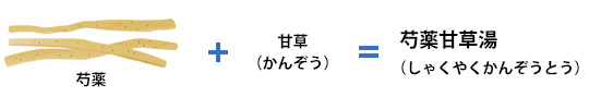 骨格筋を緩めたい時－芍薬甘草湯