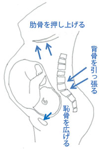 左 肋骨 の 下 が 痛い 婦人 科