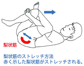 梨状筋のストレッチ方法