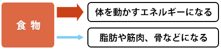 解毒証体質、陰虚体質