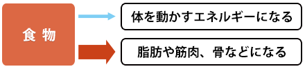 気虚体質、気虚水滞体質、陽虚の人のエネルギーの使い方