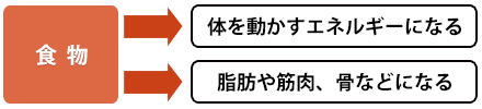 臓毒証体質、実証の人のエネルギーの使い方